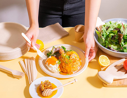 Bagasse Food Container