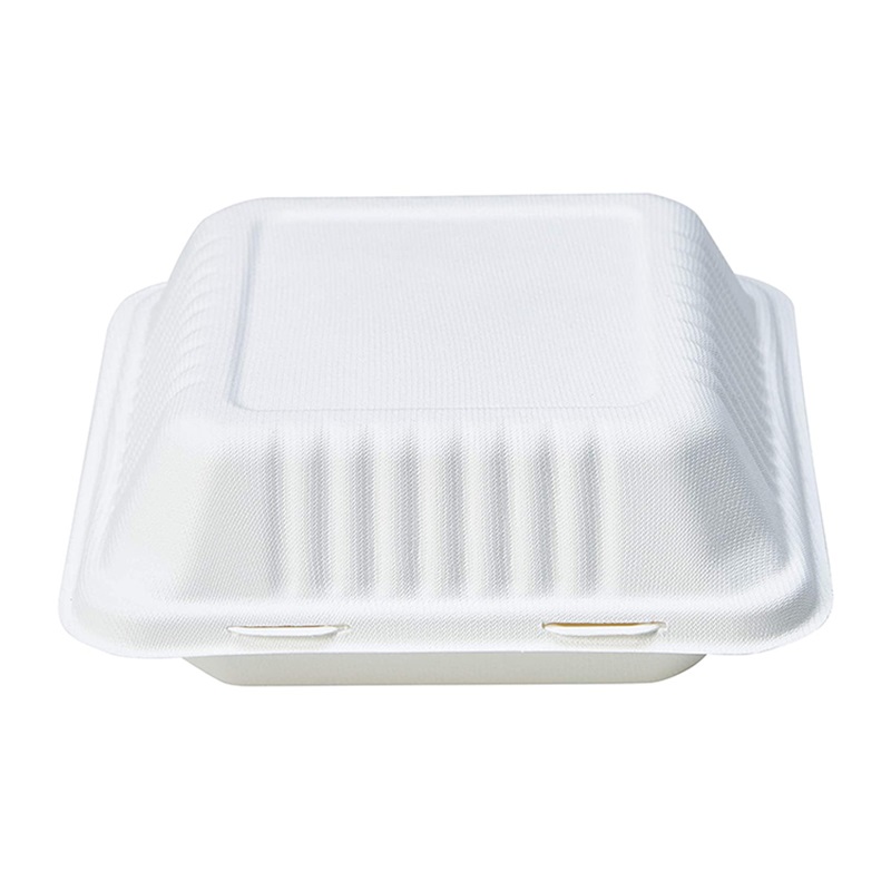 9 Inch Biodegradable Bagasse Take Away Containers