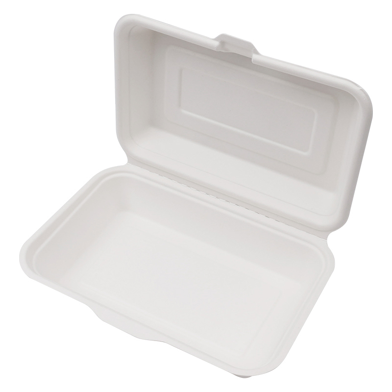 Disposable Lunch Box ,Sugarcane Bagasse Food Container 9*6 inch