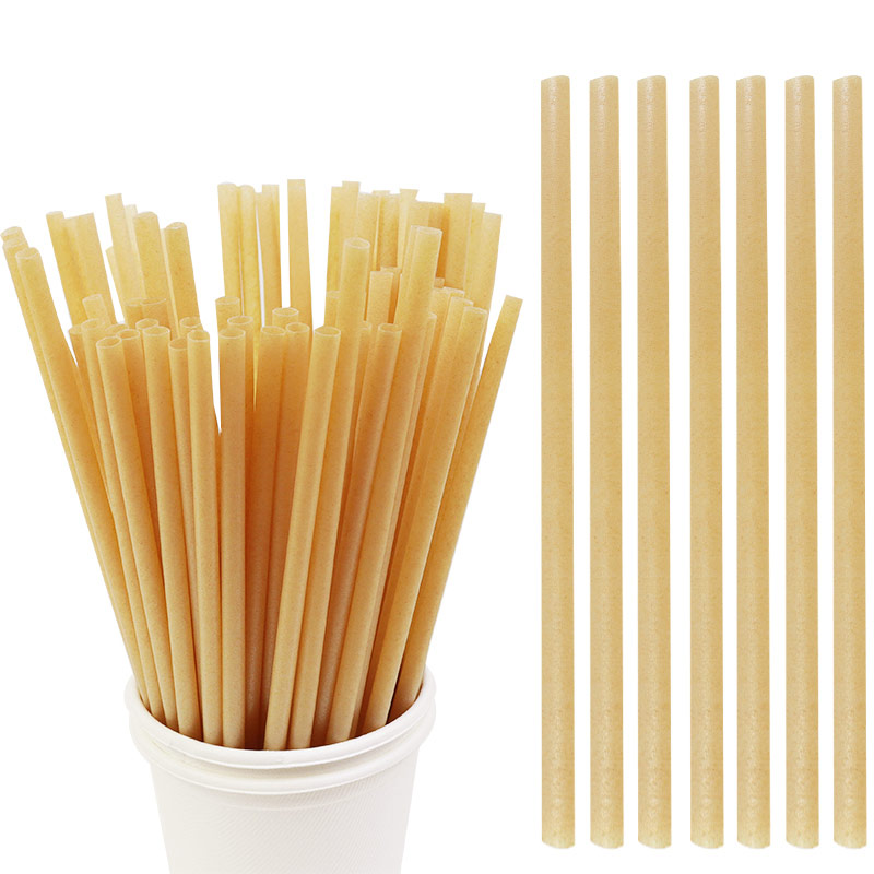 Wholesale Plantbased Biodegradable Sugarcane Bagasse Fiber Straw from