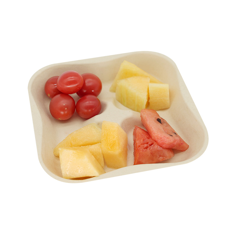 Eco-friendly Bagasse Fiber Square Fruit Plate