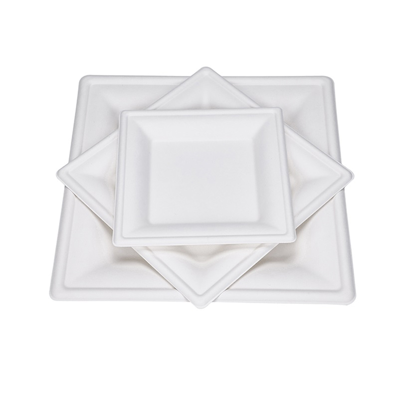 6" 8" 10" Square Compostable Bagasse Wedding Plates