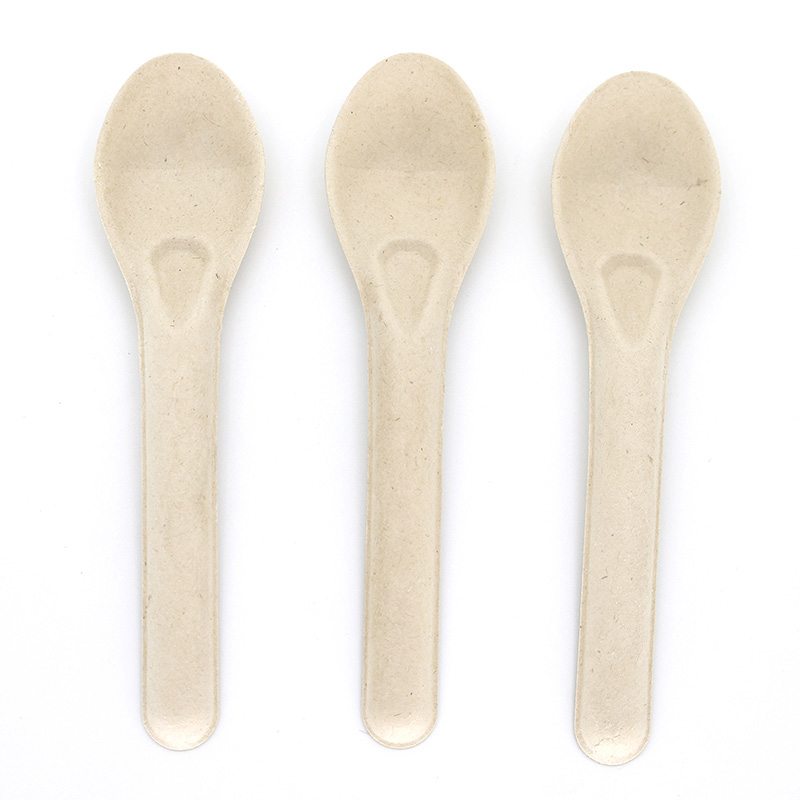 Wholesale 5.5" Compostable Sugarcane Fiber Spoon for Ice Cream from
