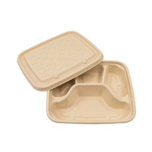 5 Compartment Compostable Sugarcane Pulp Fiber Disposable Tray (10 x 8 –  EcoQuality Store