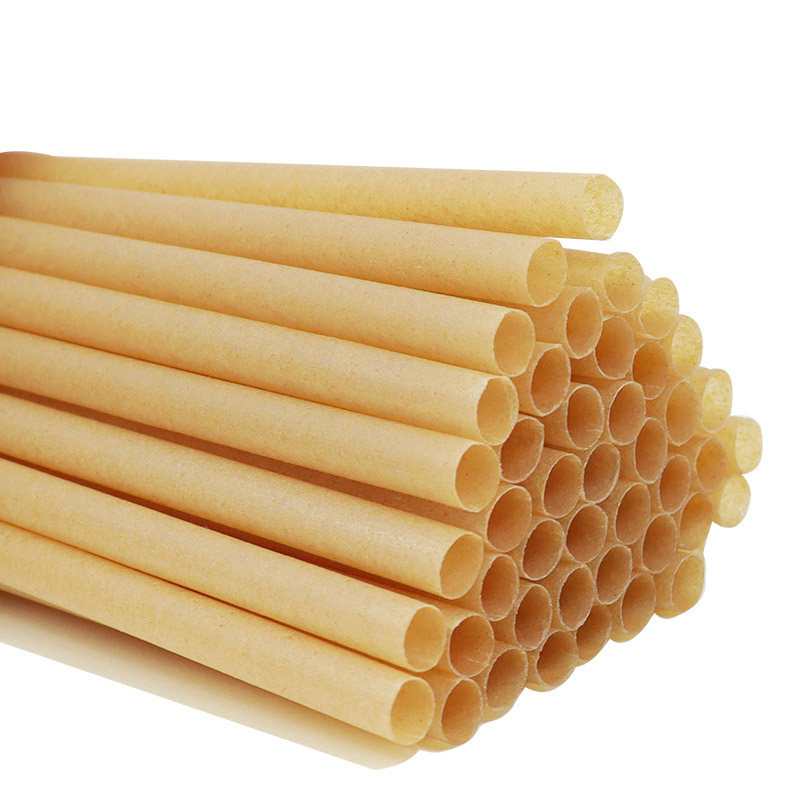 Plant-based Biodegradable Sugarcane Bagasse Fiber Straw