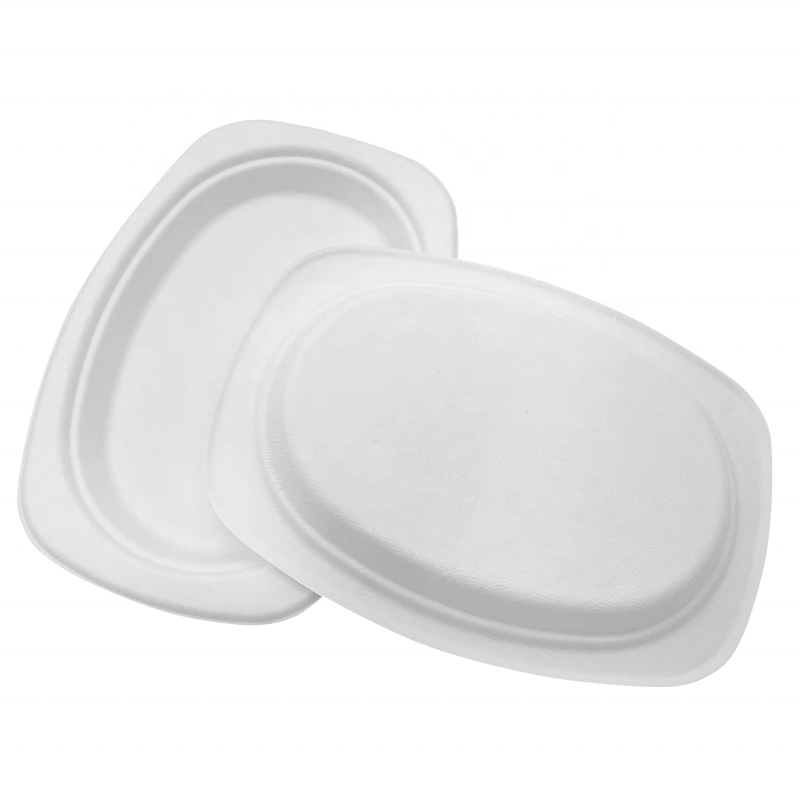 100% Natural Oval Sugarcane Bagasse Fiber Serving Plate